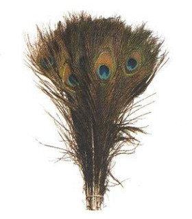 PLUME NATURELLE DE PAIN 30 CMS.