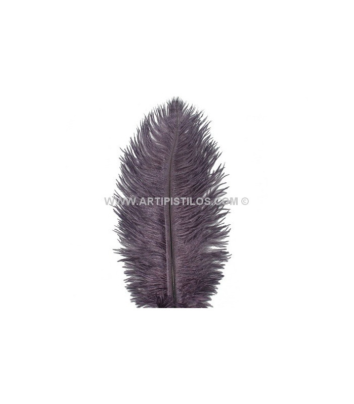 PLUME D´AUTRUCHE 25 - 30 CMS.