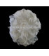 FLEUR EN PLUMES