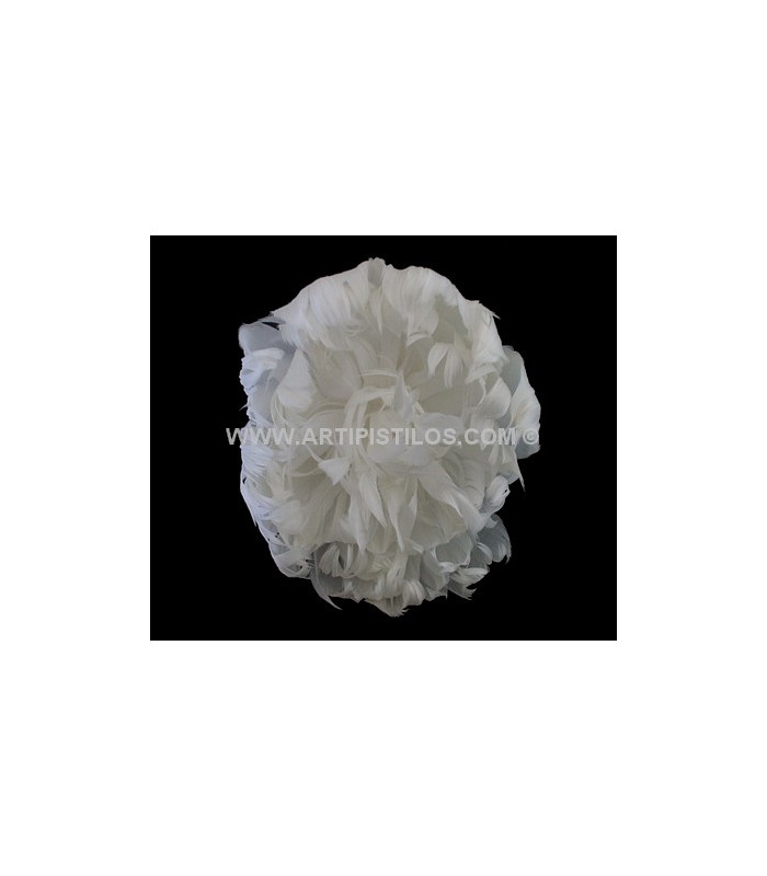FLEUR EN PLUMES
