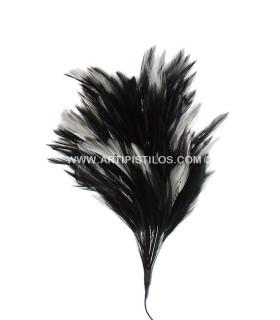 MONTAGE PLUMES DE COQ