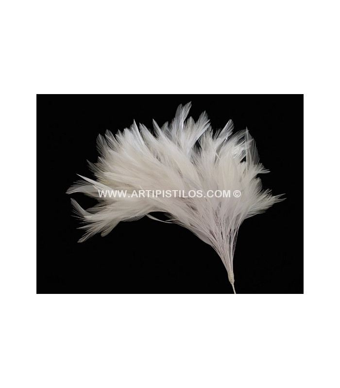 MONTAGE PLUMES DE COQ