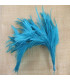 MONTAGE PLUMES DE COQ
