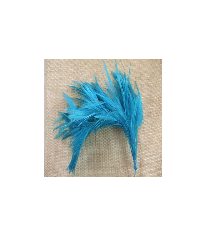 MONTAGE PLUMES DE COQ