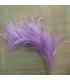 MONTAGE PLUMES DE COQ