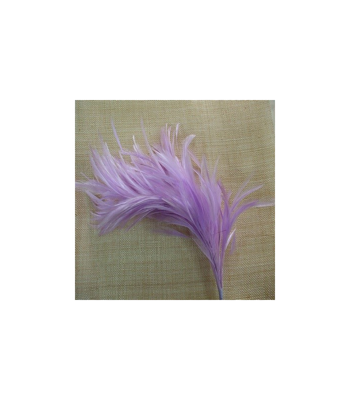 MONTAGE PLUMES DE COQ