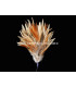 MONTAGE PLUMES DE COQ