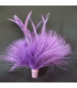 MONTAGE PLUMES D´OIE BIOT/MARABU
