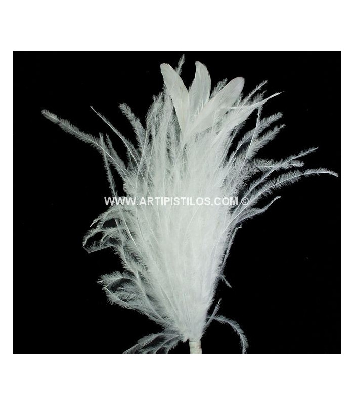 MONTAGE PLUMES D´AUTRUCHE/COQ