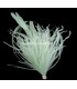 MONTAGE PLUMES D´AUTRUCHE/COQ
