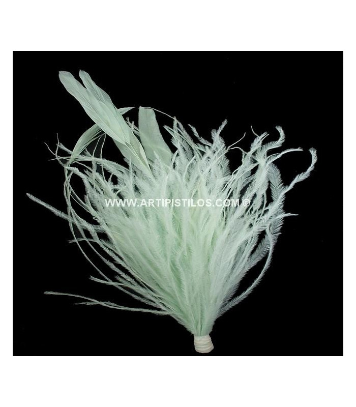 MONTAGE PLUMES D´AUTRUCHE/COQ