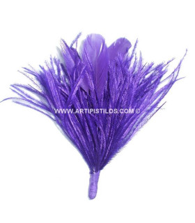 MONTAGE PLUMES D´AUTRUCHE/COQ