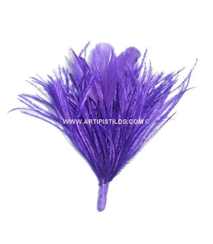 MONTAGE PLUMES D´AUTRUCHE/COQ
