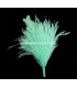 MONTAGE PLUMES D´AUTRUCHE/COQ