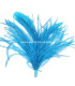 MONTAGE PLUMES D´AUTRUCHE/COQ