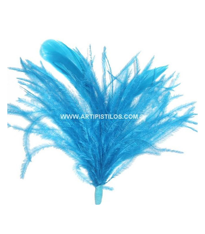 MONTAGE PLUMES D´AUTRUCHE/COQ