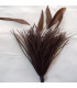 MONTAGE PLUMES D´AUTRUCHE/COQ