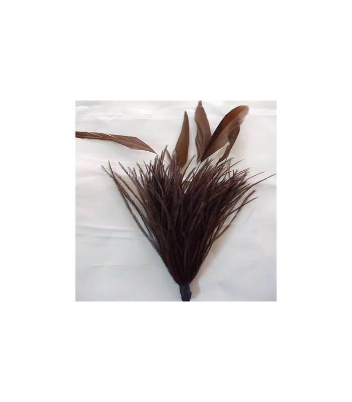 MONTAGE PLUMES D´AUTRUCHE/COQ