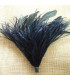 MONTAGE PLUMES D´AUTRUCHE/COQ
