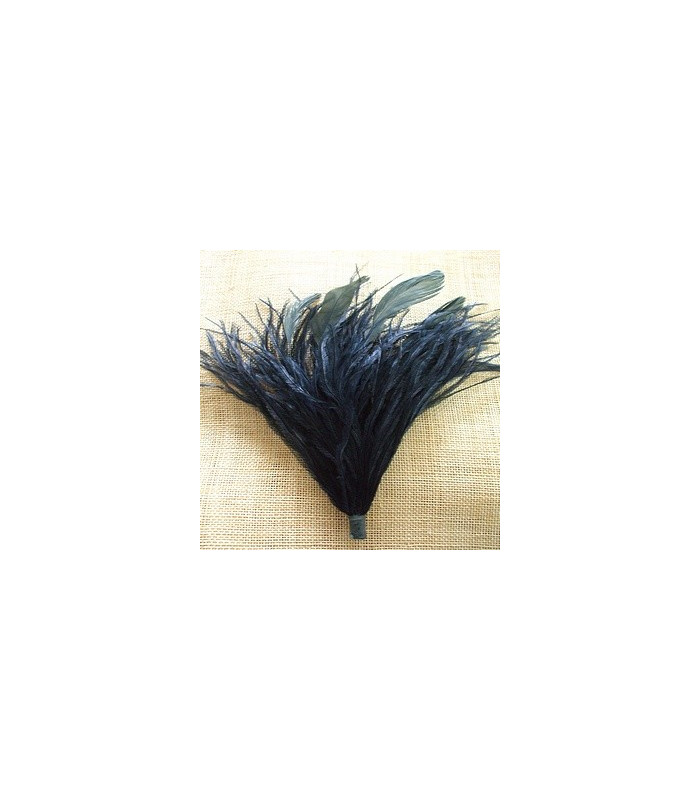 MONTAGE PLUMES D´AUTRUCHE/COQ