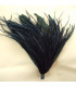 MONTAGE PLUMES D´AUTRUCHE/COQ