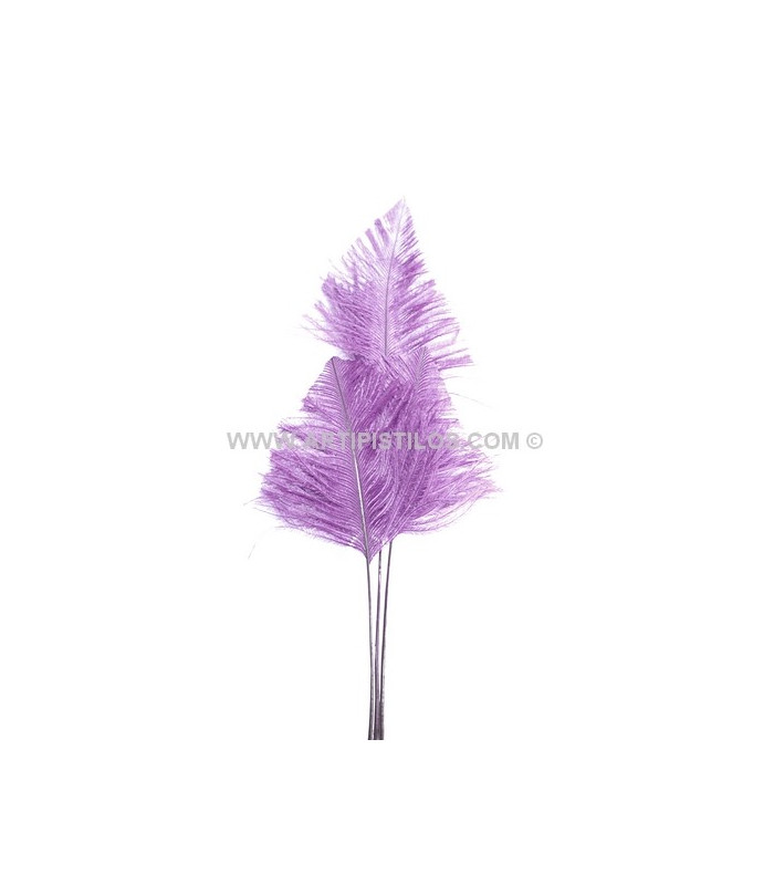 PLUME D´AUTRUCHE POINTE DE FLÈCHE