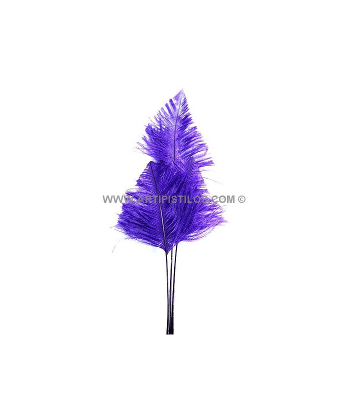 PLUME D´AUTRUCHE POINTE DE FLÈCHE