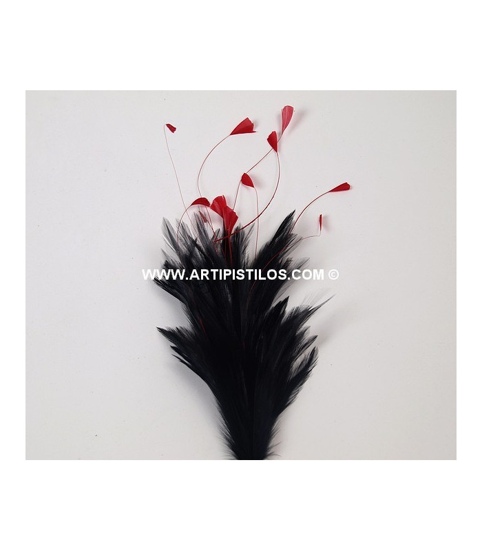 BOUQUET PLUMES DE COQ