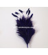 BOUQUET PLUMES DE COQ