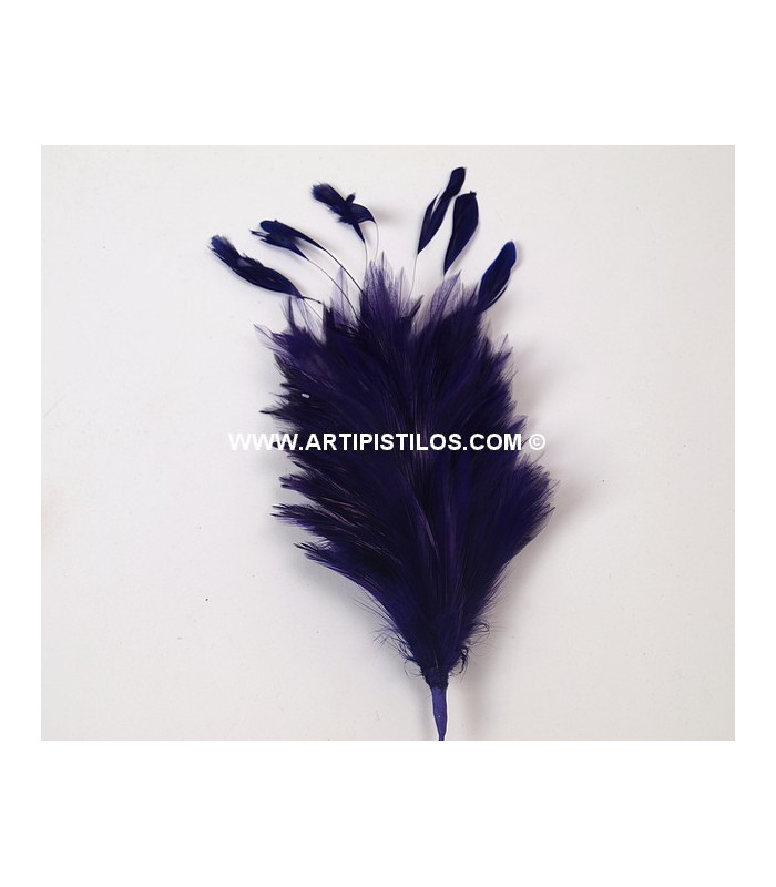 BOUQUET PLUMES DE COQ