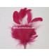 MONTAGE PLUMES DE JARS/ANTENNE DE COQ