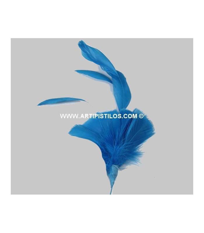 MONTAGE PLUMES DE JARS/ANTENNE DE COQ