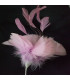 MONTAGE PLUMES DE JARS/ANTENNE DE COQ