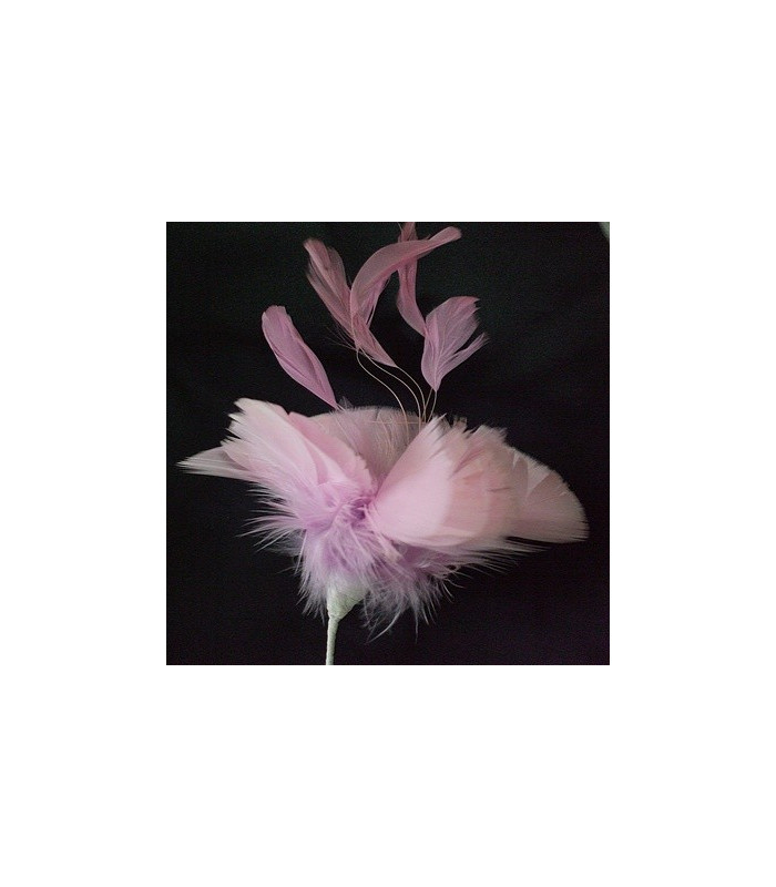 MONTAGE PLUMES DE JARS/ANTENNE DE COQ