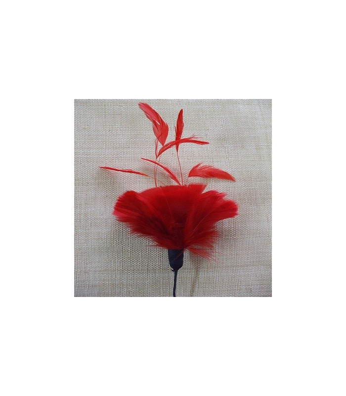 MONTAGE PLUMES DE JARS/ANTENNE DE COQ