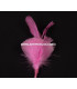 MONTAGE PLUMES DE JARS/ANTENNE DE COQ