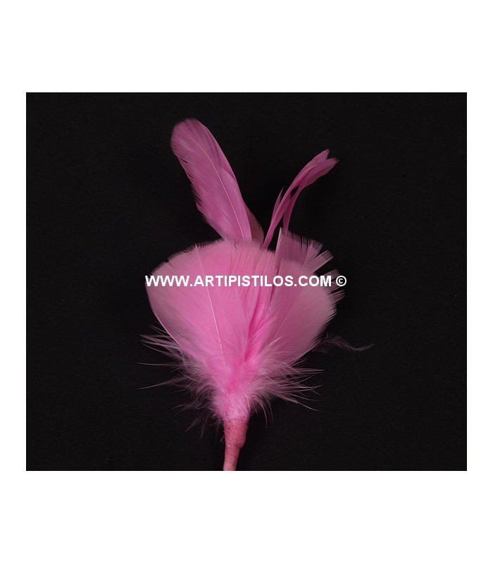 MONTAGE PLUMES DE JARS/ANTENNE DE COQ