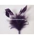 MONTAGE PLUMES DE JARS/ANTENNE DE COQ