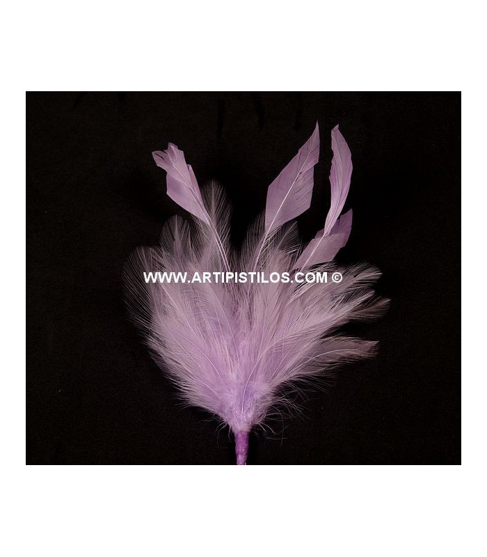 MONTAGE PLUMES DE JARS/ANTENNE DE COQ