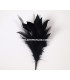MONTAGE PLUMES DE JARS/ANTENNE DE COQ
