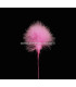 BOUQUET PLUMES DE MARABU