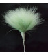 BOUQUET PLUMES DE MARABU