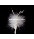 BOUQUET PLUMES MARABU/ANTENNE DE COQ