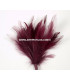 BOUQUET PLUMES D´OIE/COQ