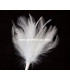 BOUQUET PLUMES D´OIE/COQ