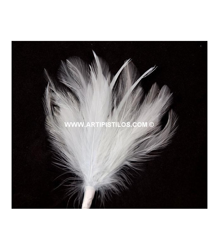 BOUQUET PLUMES D´OIE/COQ