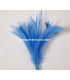 BOUQUET PLUMES D´OIE/COQ