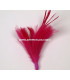 BOUQUET PLUMES D´OIE/COQ