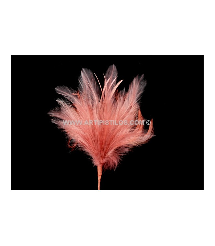 BOUQUET PLUMES D´OIE/COQ