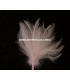 BOUQUET PLUMES D´OIE/COQ